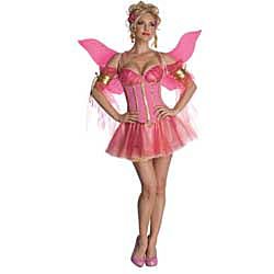 Adult Enchanted Fairy Costume