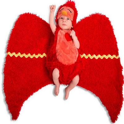 Infant Swaddle Wings Hatchling Bird Costume