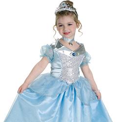 Enchanted Princess Dress Costume