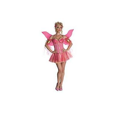 Adult Enchanted Fairy Costume