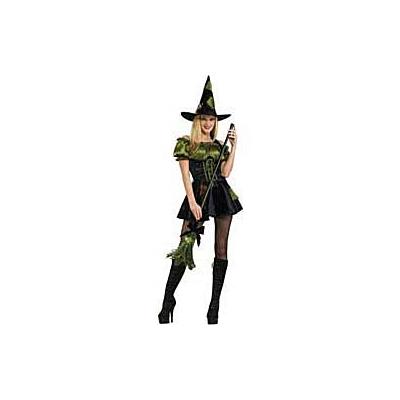 Adult Green Patch Witch Costume